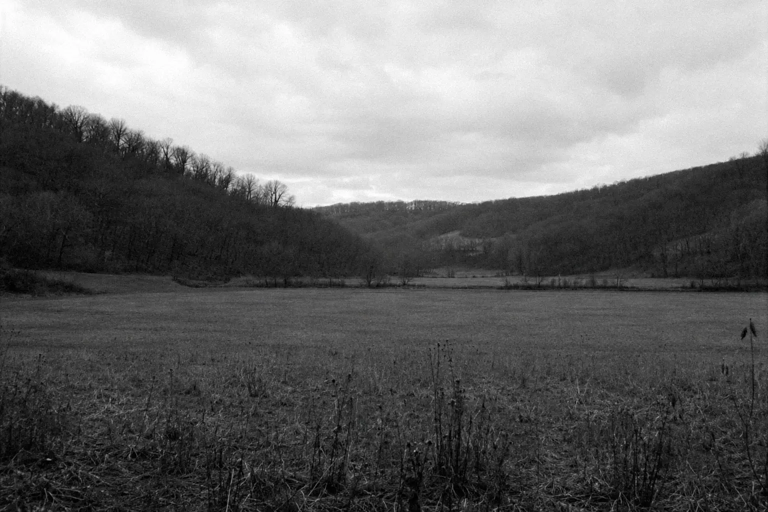 The Caffee hanging ground, Mineral Point, Wisconsin. Black-and-white photograph, 2007. An empty valley bottom ringed by bare wooded hills under an overcast sky.