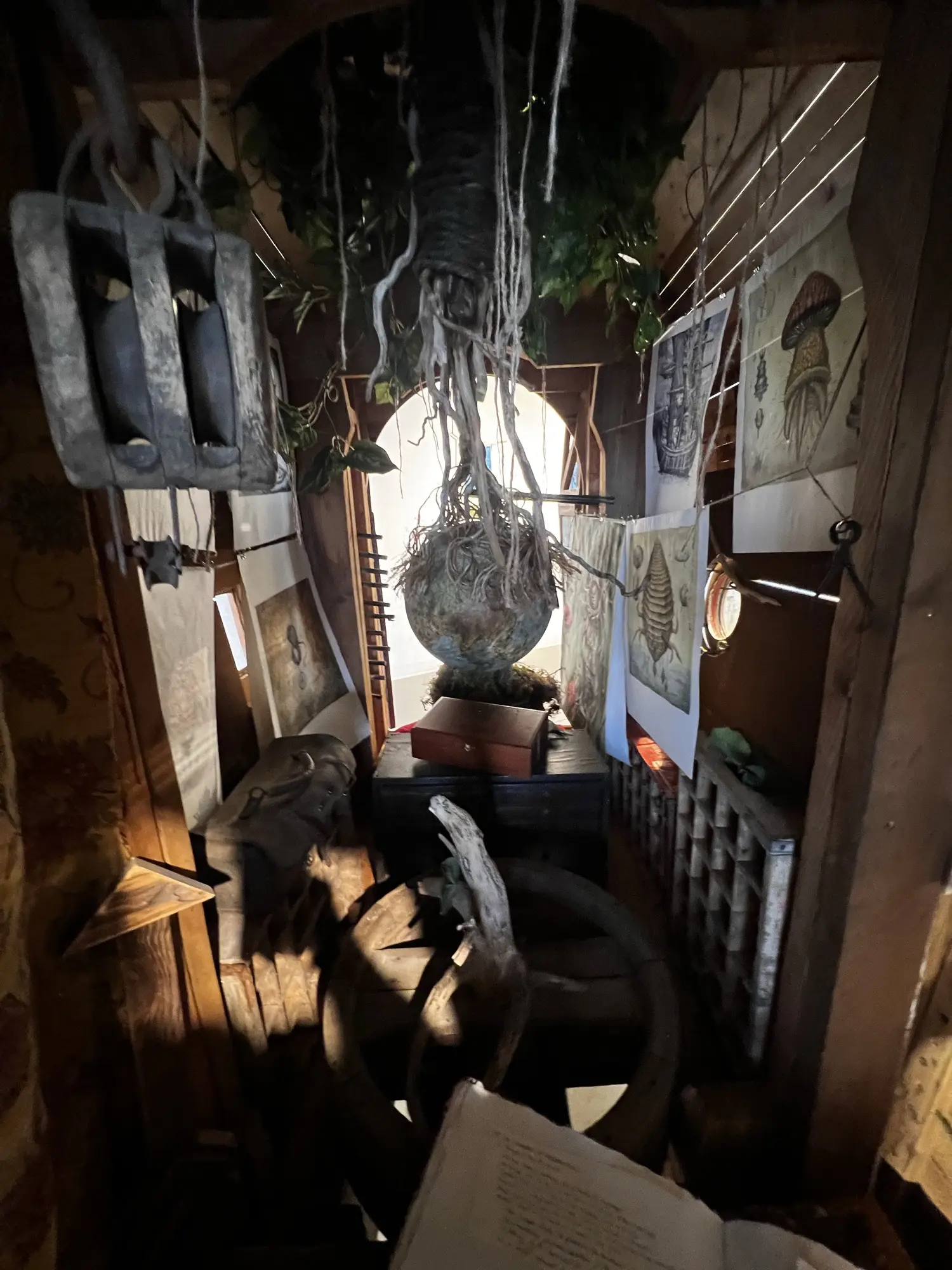 Inside the naturalist's wagon: a root-bound globe hangs above a wooden chest and writing box, among a block pulley, a leather satchel, a type drawer, and plates strung on twine.